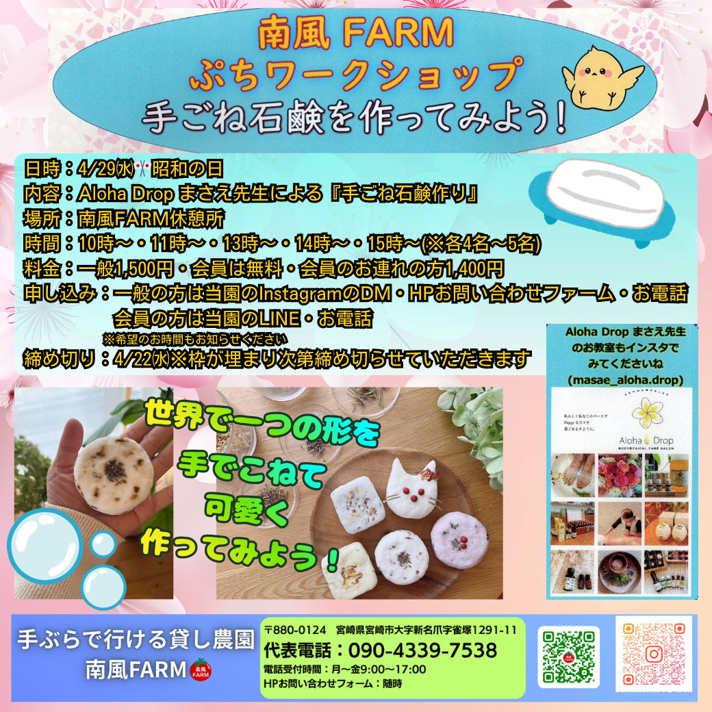 南風FARM【ぷちワークショップ】開催のお知らせ
